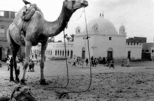 ���� ������ ��� ��� ����